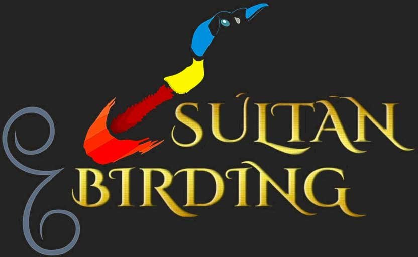 Sultan Birding Indonesia